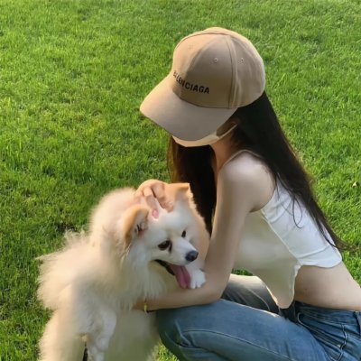 危险女婿